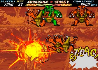 image de The First Funky Fighter